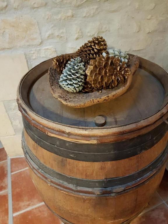 Bed and Breakfast Le Domaine De Bellevue Tanzac Exterior foto